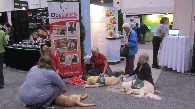 Zoomershow2014